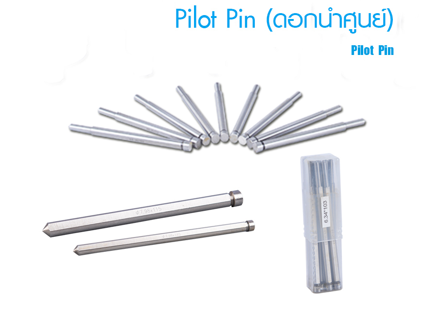 Pilot Pin