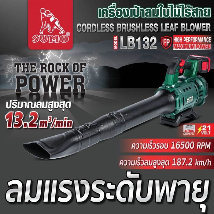 เครื่องเป่าใบไม้ไร้สาย