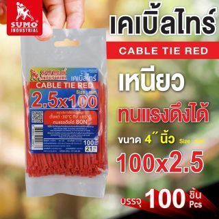เคเบิ้ลไทร์ 100mm(4