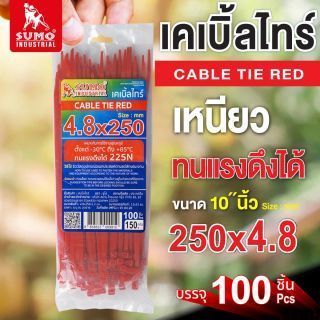 เคเบิ้ลไทร์ 250mm(10