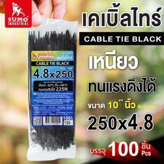 เคเบิ้ลไทร์ 250mm(10