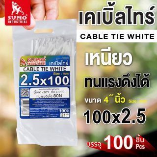 เคเบิ้ลไทร์ 100mm(4