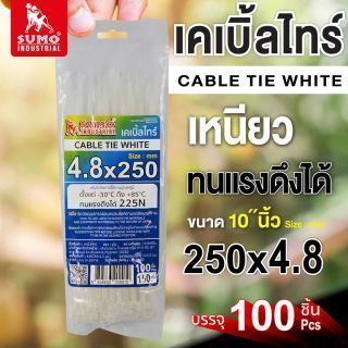 เคเบิ้ลไทร์ 250mm(10
