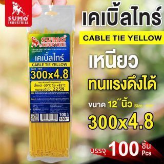 เคเบิ้ลไทร์ 300mm(12