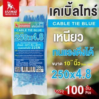 เคเบิ้ลไทร์ 250mm(10