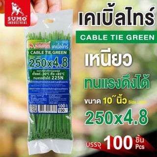 เคเบิ้ลไทร์ 250mm(10
