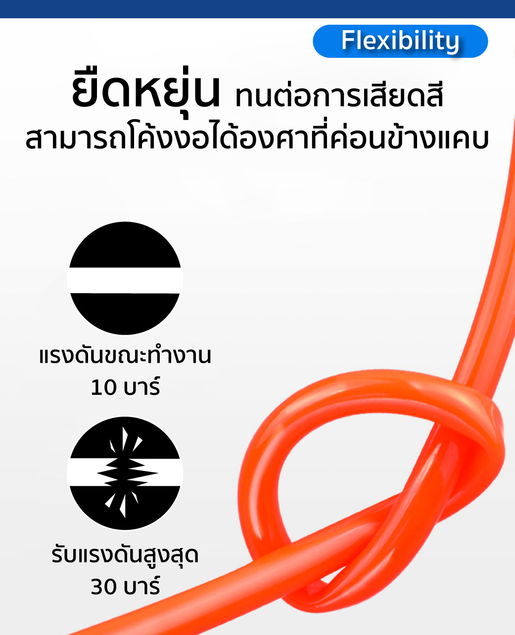 สายลม พียู แบบม้วน