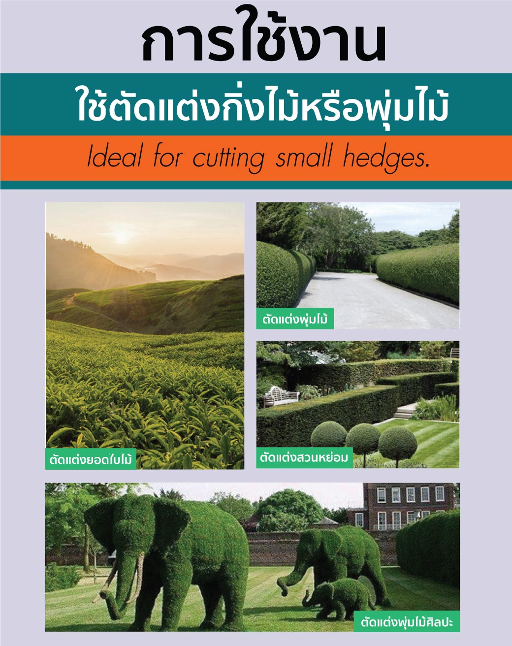 วิธีใช้งาน เครื่องตัดแต่ง พุ่มไม้ไร้สาย SUMO รุ่น CHT777-2